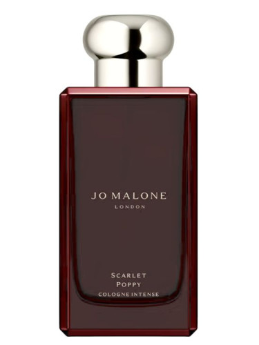 Generic Perfumes | Premium Perfume Oils – Inspired by Designer